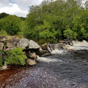 dartmoor river