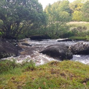 dartmoor river