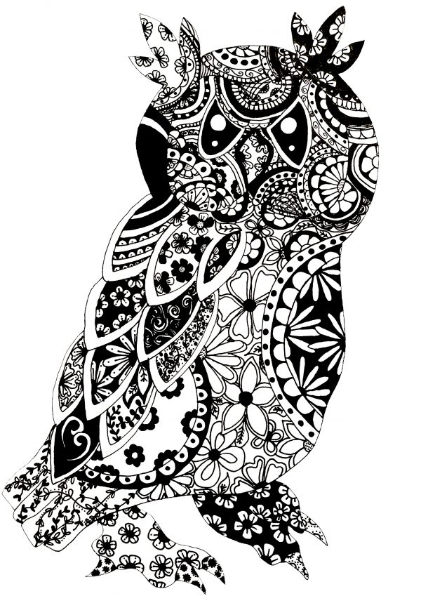 black and white owl white