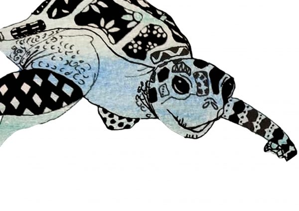 turtle artwork