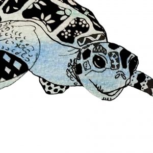 turtle artwork